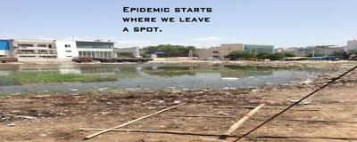 Swachh(Clean) New Delhi - How To Avert Dengue and Serial Epidemic