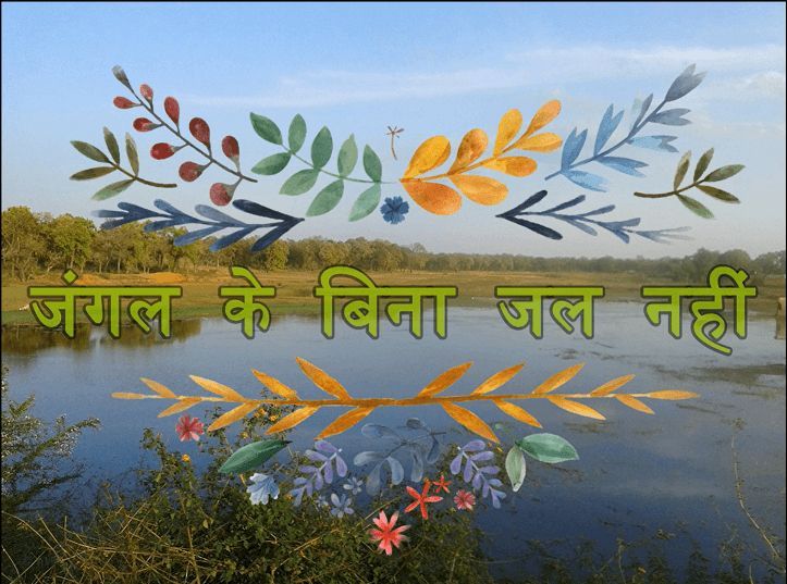 Reforesting India Can we grow 3 billion more trees and keep them alive for 40 years