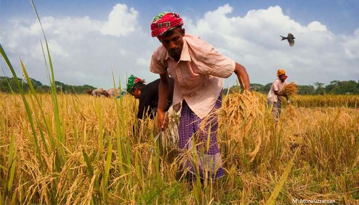 

Farming has a very important role to play in all our lives. Not only does it provide the main diet