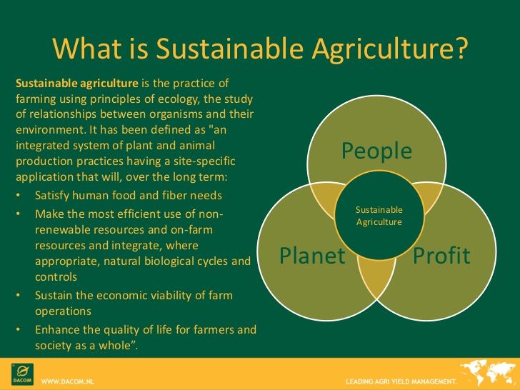 
Sustainable agriculture
We think that working with our hands in soil is below our dignity and that 