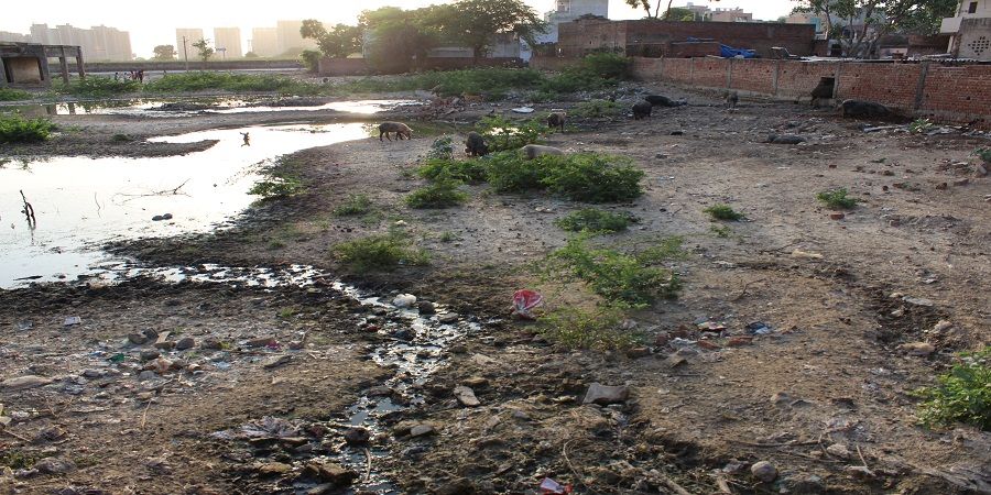 गंगा-यमुना के दोआब में सहारनपुर जनपद से प्रारम्भ होकर मुजफरनगर, शामली, मेरठ, बागपत व गाजियाबाद से हो