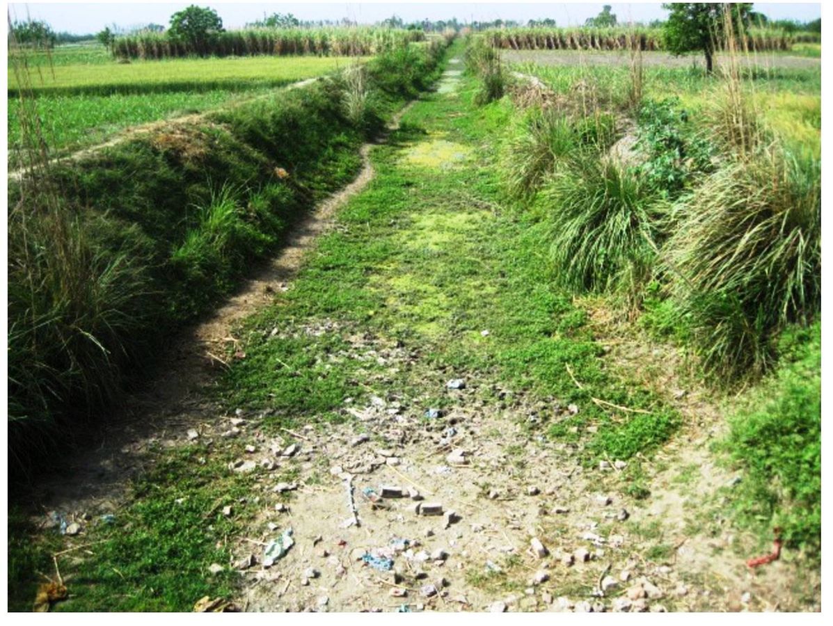 INTRODUCTIONThe Kali River East, a tributary of the Ganges, originating in AntWada village in Muzaff