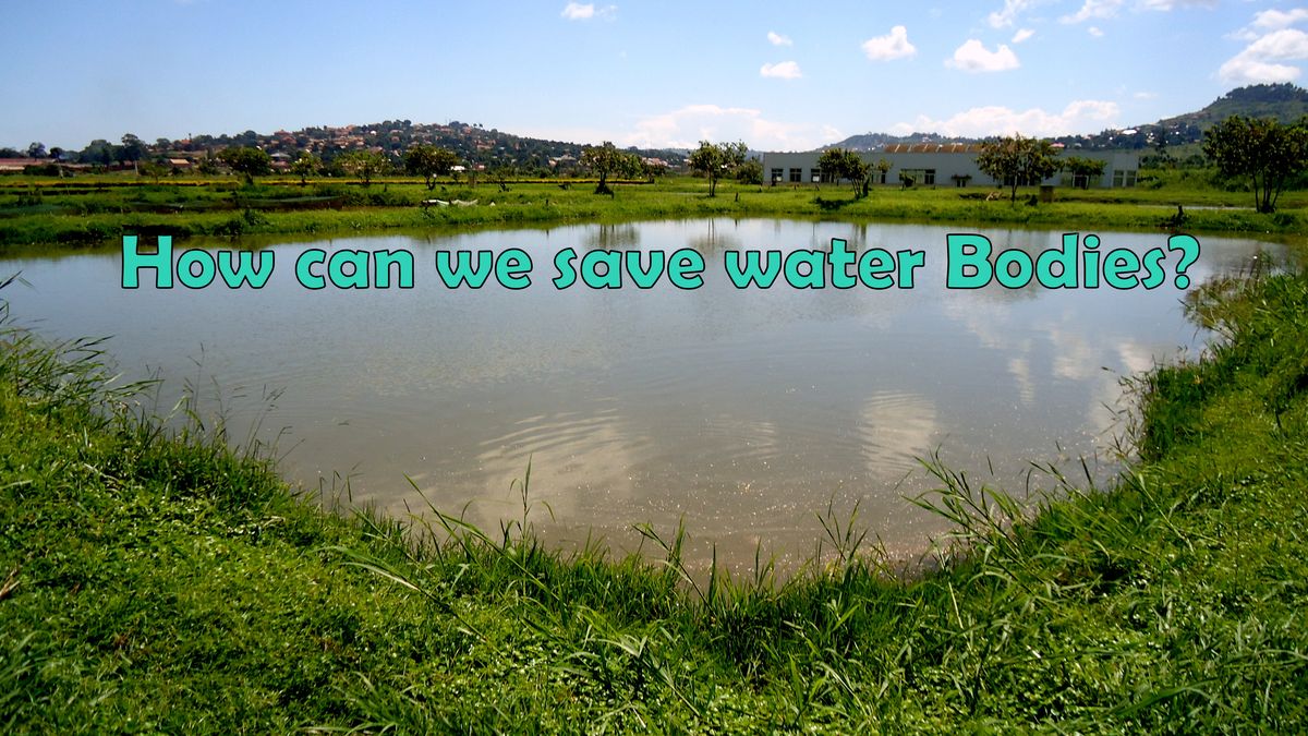 Following these steps in chronological order:·    1)Identify
our water bodies ·    2)Study
the rate 