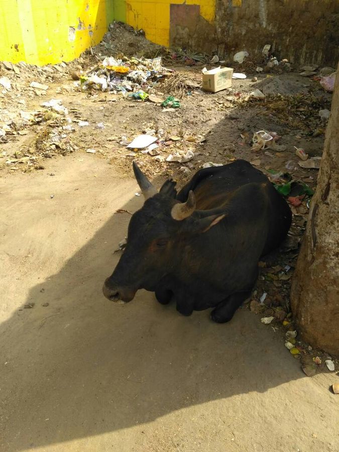 City schools are struggling with the heaped garbage near in the vicinity. With several students freq