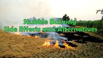 Stubble Burning: Side effects and Possible alternatives
