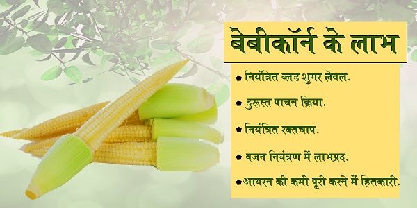 लो, सावन बहका है....बागों में मेले हैं...फूलों के ठेले हैं,झूलों के मौसम में...साथी अलबेले हैं.ऋतुएँ