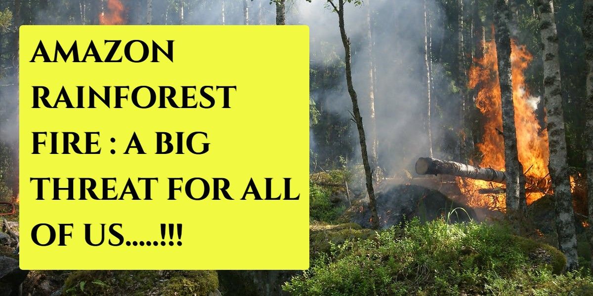  वनों में आग लगना या भारतीय भाषा में दावानल का भडक उठना यूँ तो शुष्क
गर्मियों के मौसम में एक सामान्य