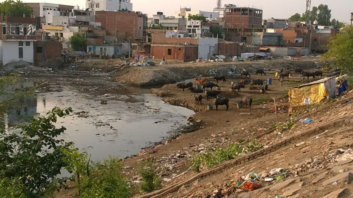 -लखनऊ की ऐतिहासिक धरोहरों और समृद्ध संस्कृति में एक नया अध्याय जुड़ने जा रहा है—कुकरैल रिवर फ्रंट। ग