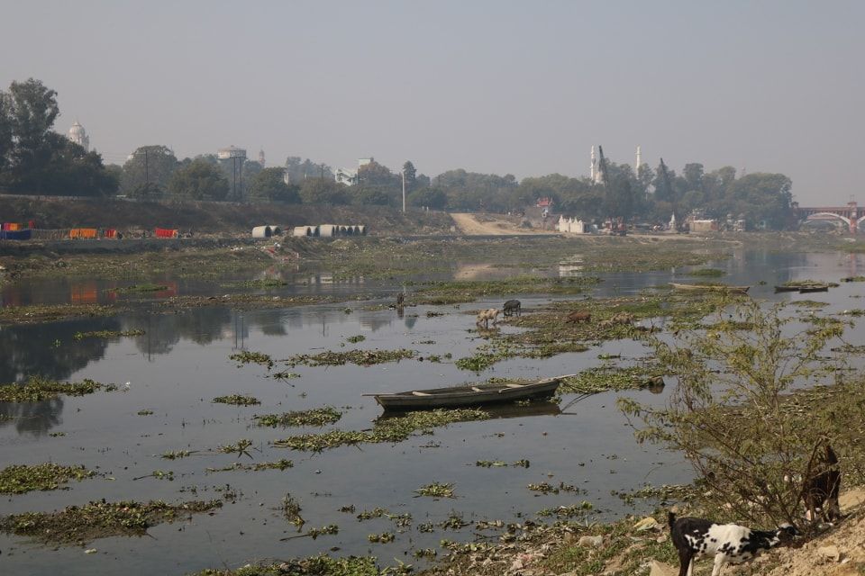 निरंतर घटता जल प्रवाह कर रहा है गोमती को प्रदूषित, संरक्षण जरूरी-नदियां जो