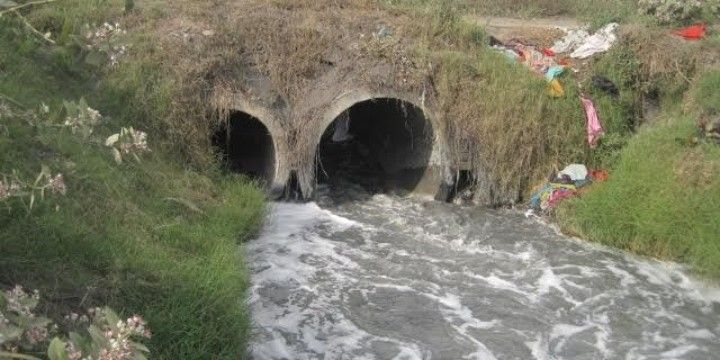 वर्षों से प्रदूषण का दंश
झेल रही पूर्वी काली नदी की बिगडती हालत को संवारने के लिए हाल ही में जल संसा