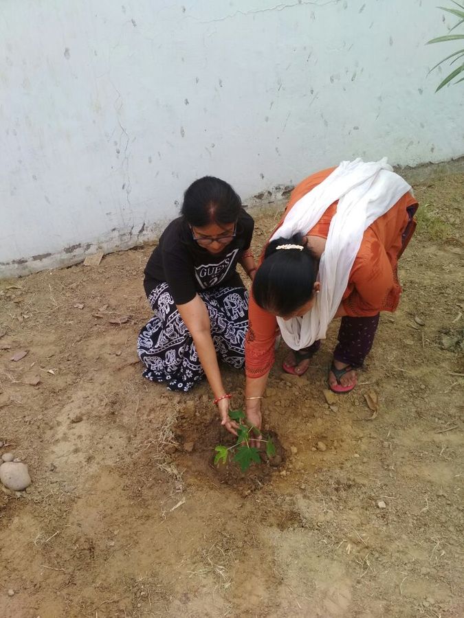 नाम : अनुराधा गुप्ता
पद :  फाउंडर, पृथ्वी इनोवेशंस, लखनऊ नवप्रवर्तक कोड : 71182997&lt;/