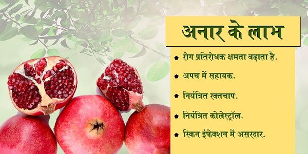 लो, सावन बहका है....बागों में मेले हैं...फूलों के ठेले हैं,झूलों के मौसम में...साथी अलबेले हैं.ऋतुएँ