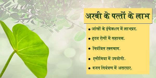 लो, सावन बहका है....बागों में मेले हैं...फूलों के ठेले हैं,झूलों के मौसम में...साथी अलबेले हैं.ऋतुएँ