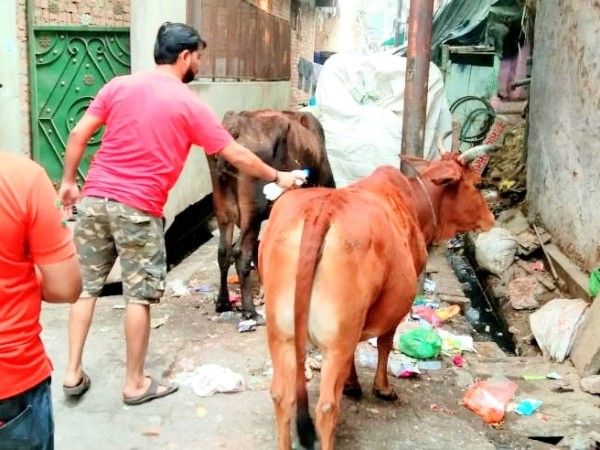 आर्यनगर विधानसभा क्षेत्र के दानाखोरी वार्ड 90 के भूसाटोली चौराहा पर स्थानीय निवासियों को डेंगू के प्