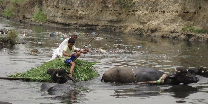वर्षों से प्रदूषण का दंश
झेल रही पूर्वी काली नदी की बिगडती हालत को संवारने के लिए हाल ही में जल संसा