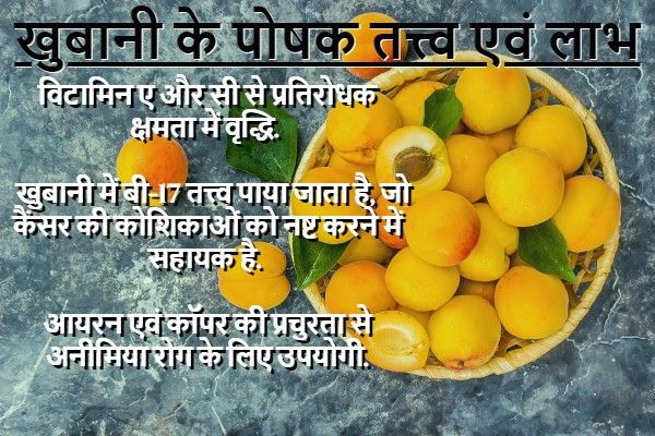 मार्च, जिसे वैदिक संस्कृति में फाल्गुन माह के नाम से भी
जाना जाता है, विशेषत: भारत में ऋतु परिवर्तन 