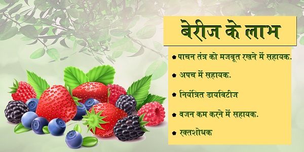 लो, सावन बहका है....बागों में मेले हैं...फूलों के ठेले हैं,झूलों के मौसम में...साथी अलबेले हैं.ऋतुएँ