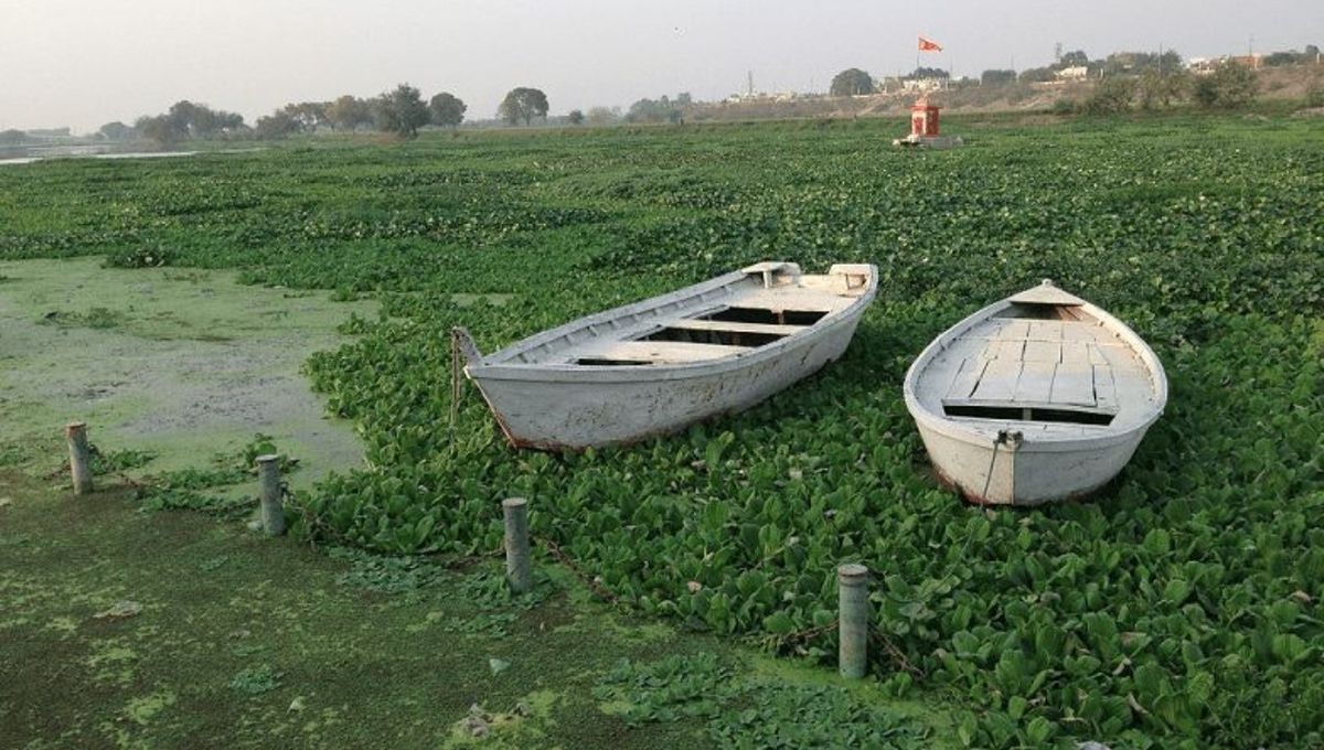 छोटी नदियों और उनके इकोसिस्टम को मरने के लिए छोड़ दिया तो गंगा में जल कहां से आएगा? - डॉ वेंकटेश दत्त