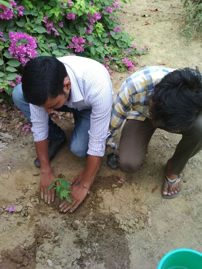 समाज एवं पर्यावरण के सकारात्मक संयुक्त कल्याण, संरचनात्मक रूप से पृथ्वी को प्रदूषण मुक्त बनाने के लि