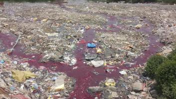 बहलोलपुर में हिंडन के लाल हुए पानी की वीडियो हुई वायरल, प्रदूषण फैला रही 16 औद्योगिक इकाइयों को यूपीपीसीबी ने किया सील