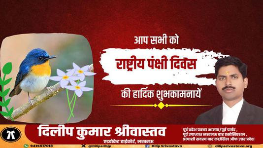 दिलीप श्रीवास्तव-राष्ट्रीय पक्षी दिवस की सभी देशवासियों  को हार्दिक शुभकामनाएं