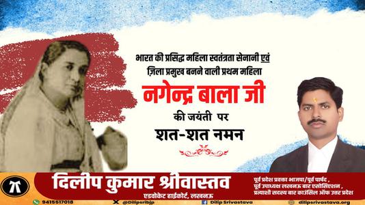 दिलीप श्रीवास्तव-नागेन्द्र बाला जी की जयंती    पर शत शत नमन