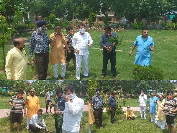 कानपुर में विभाकर मिश्रा जी के द्वारा गोविंदनगर नार्थ में ब्लॉक स्थित पार्क में वृक्षारोपण कार्यक्रम