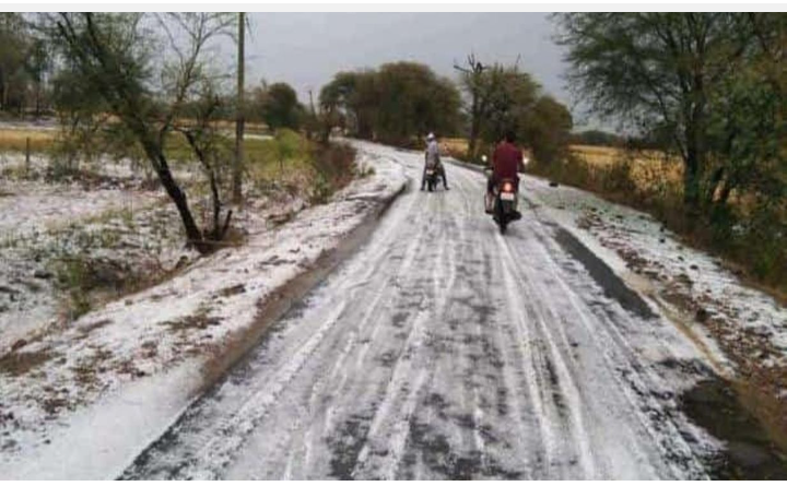 बेमौसम भारी बरसात और ओलावृष्टि से  मंदसौर जिले में किसानों को हुआ भारी नुकसान-मंदसौर जि