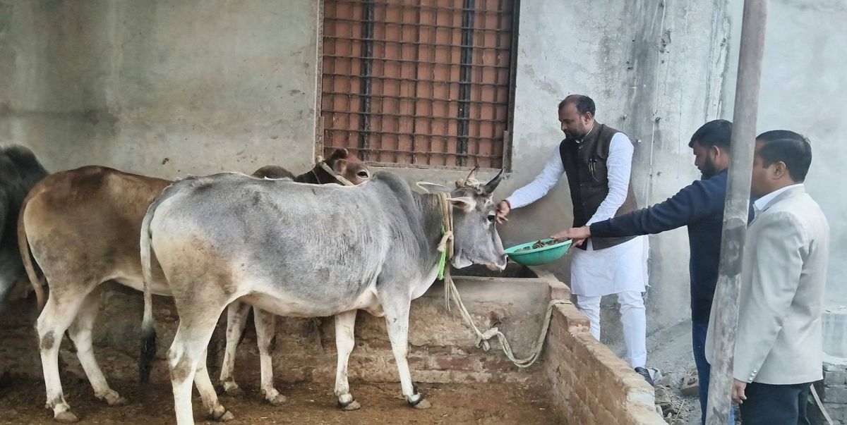 नाम- हरी प्रकाश वर्मा
पद- विधायक (भाजपा