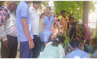 पौधरोपण अभियान कर मनाया गया डॉ श्यामा प्रसाद मुखर्जी बलिदान दिवस
