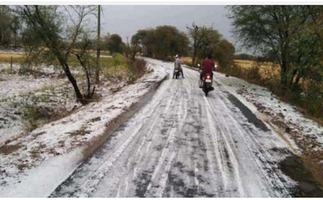बेमौसम भारी बरसात और ओलावृष्टि से  मंदसौर जिले में किसानों को हुआ भारी नुकसान