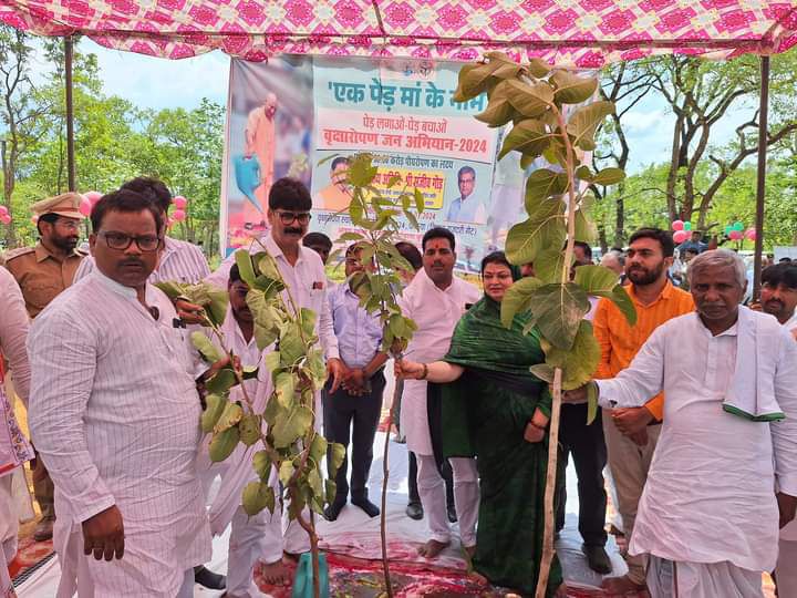 चंदौली जिला राजदरी में वृक्षारोपण अभियान चलाकर रोपित किये विभिन्न प्रकार के पौधे-उत्तर प्र