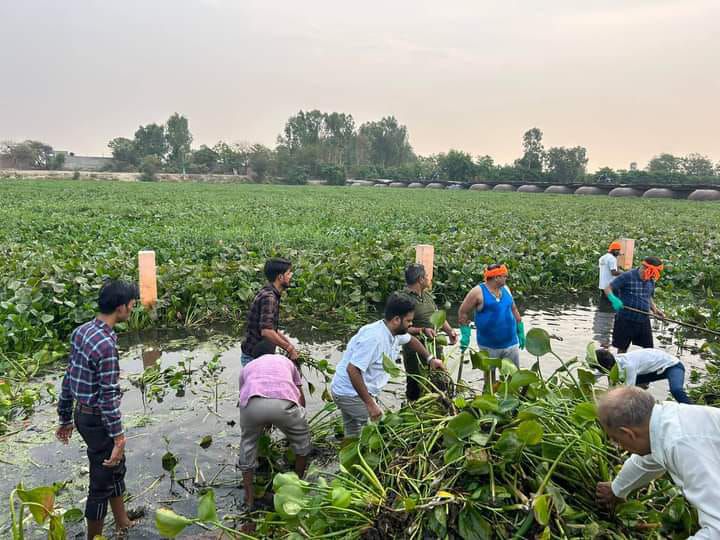 लखनऊ के गऊघाट पर सफाई अभियान का आयोजन कर प्रदान किया योगदान- बीते दिव