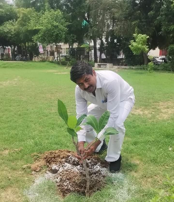 लखनऊ लोकप्रिय सांसद राजनाथ सिंह के जन्मदिवस पर इंदिरा नगर रानी झांसी पार्क सी ब्लॉक में किया वृक्षार