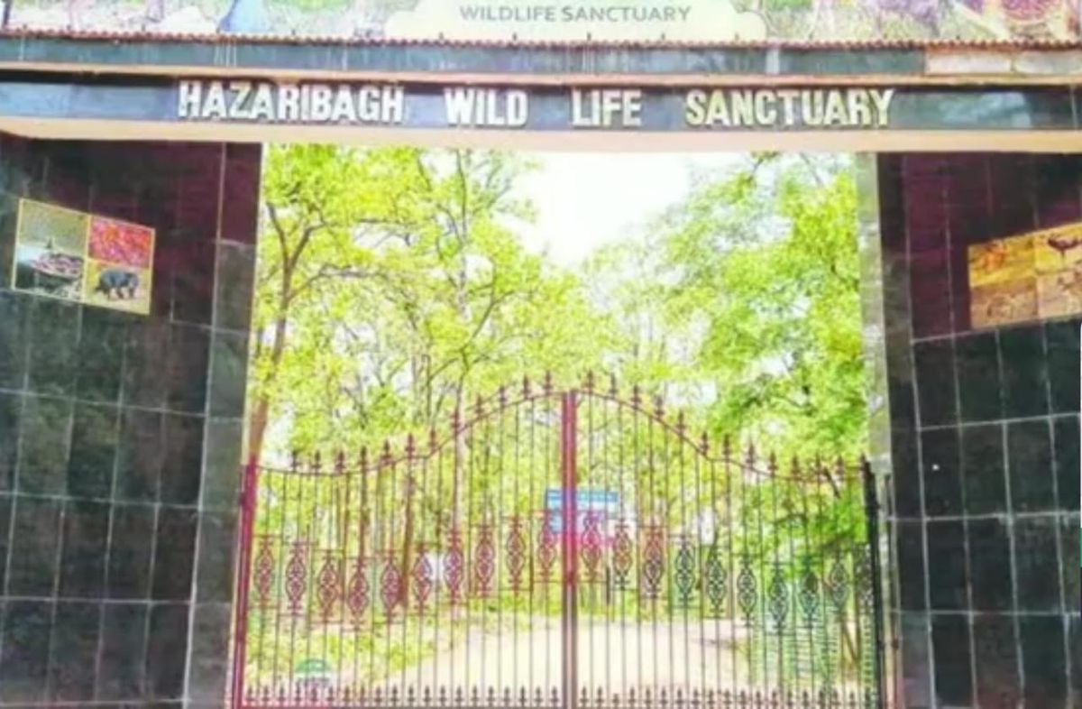 Hazaribagh: The City of a Thousand GardensHazaribagh, located in the Indian state of Jharkhand, is a